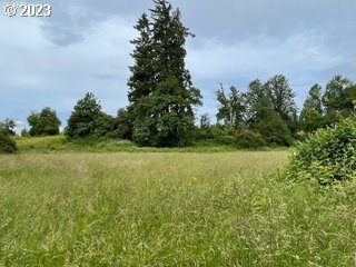 26330 South Brandt Road Mulino, OR 97042 - Photo 7 of 7 Gallery Image 7