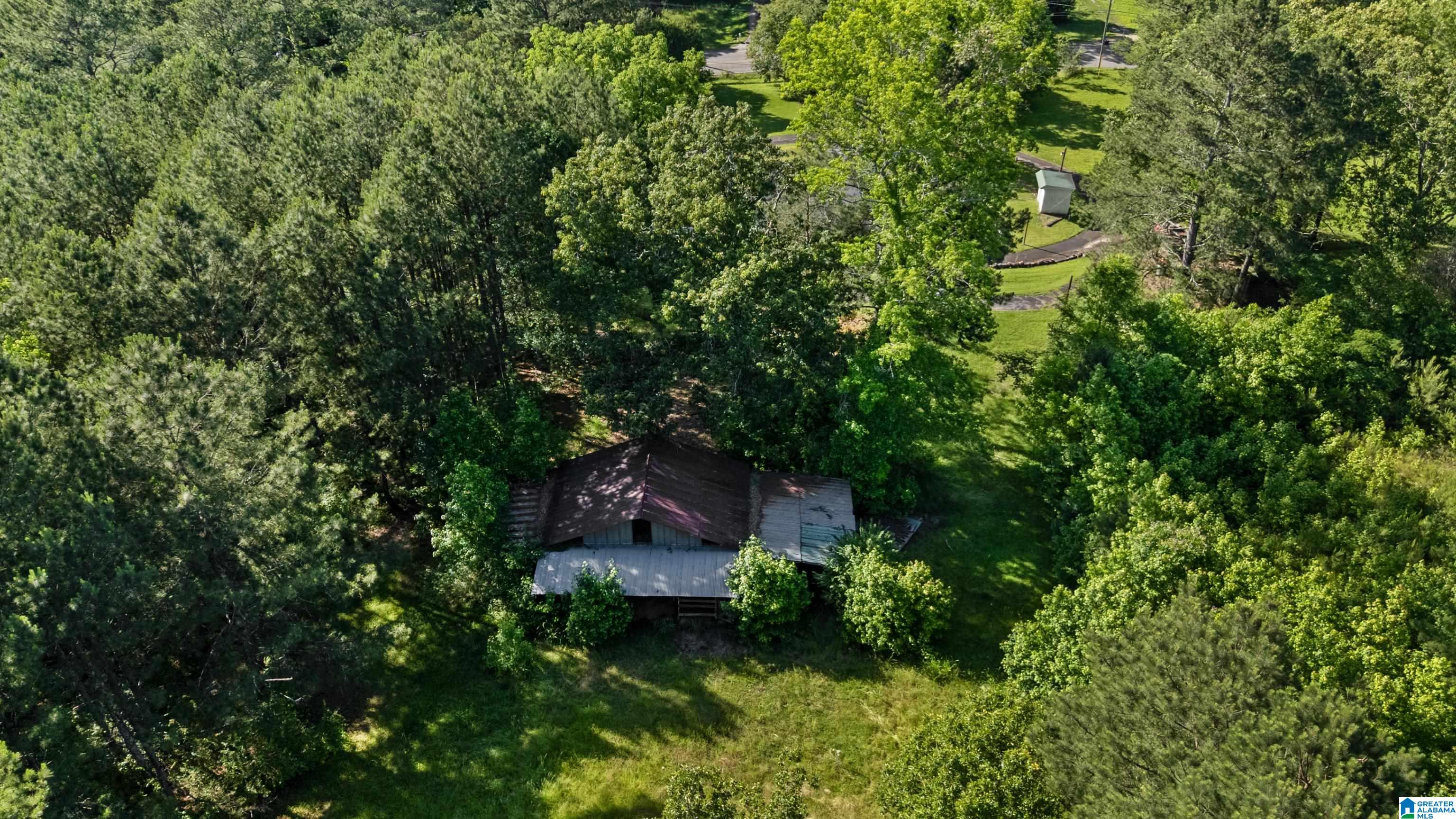 1072 Warrior Jasper Road Warrior, AL 35180 - Photo 11 of 41