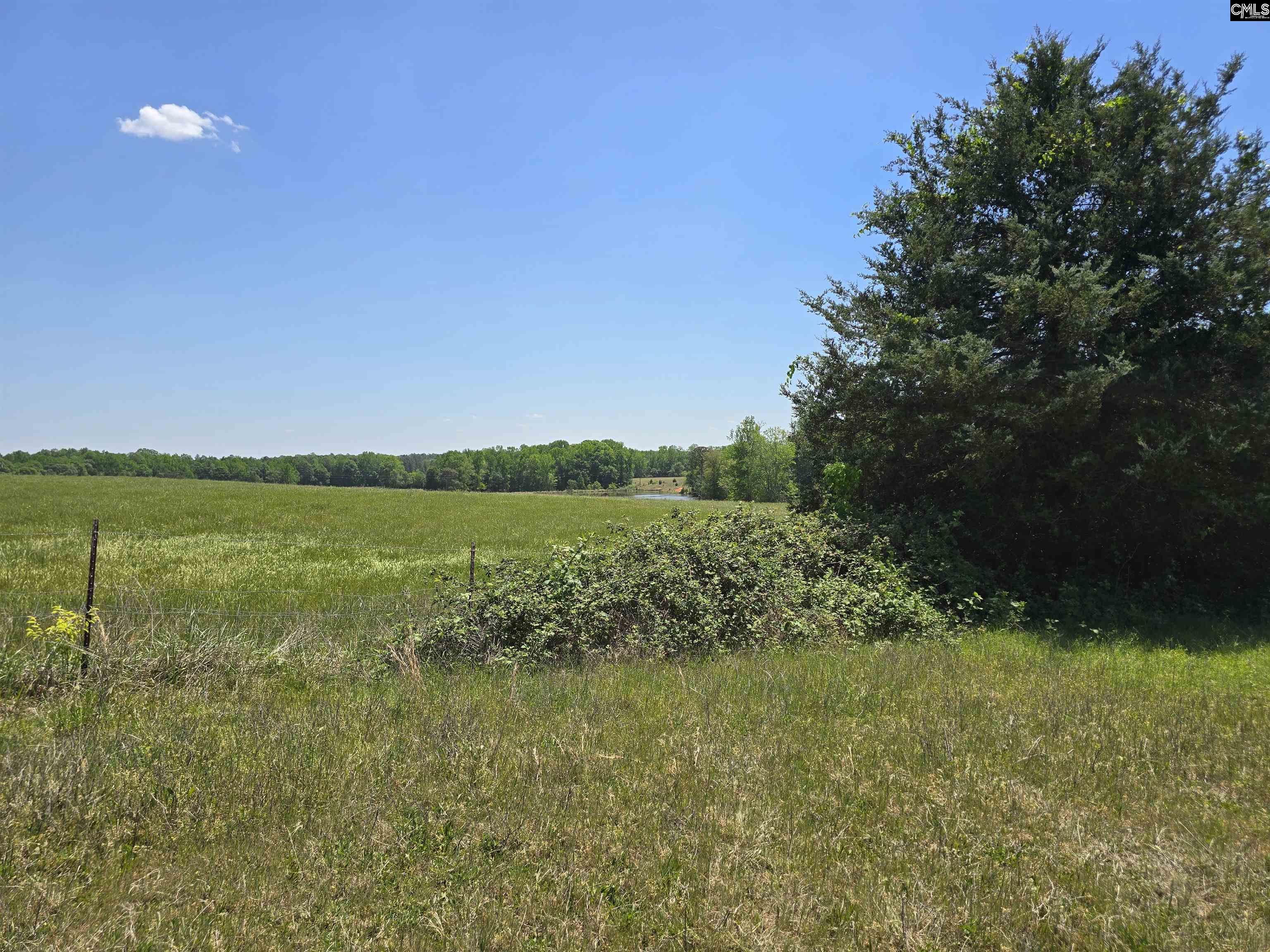 542 Pea Ridge Highway Jonesville, SC 29353 - Photo 18 of 72