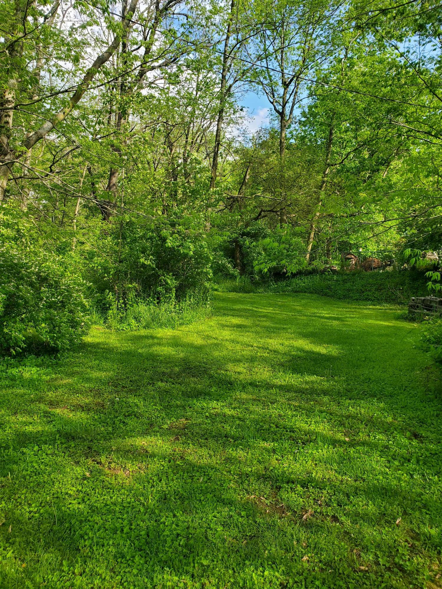 2693 Clintonville Road Paris, KY 40361 - Photo 33 of 47 20210505_172212