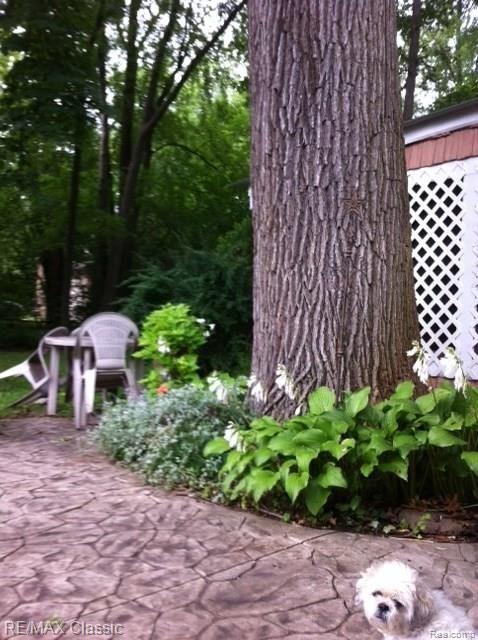 576 Trinway Road Troy, MI 48085 - Photo 40 of 41 IMG_3592.jpg