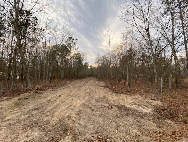 2 Hebron Road Neeses, SC 29107 - Photo 1 of 8 heb2