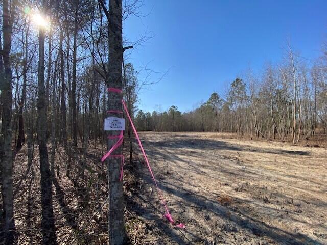 2 Hebron Road Neeses, SC 29107 - Photo 2 of 8 heb13