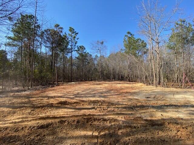 2 Hebron Road Neeses, SC 29107 - Photo 3 of 8 heb12