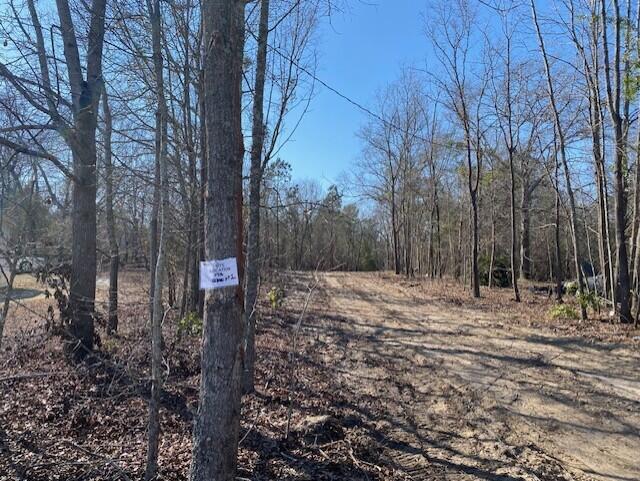 2 Hebron Road Neeses, SC 29107 - Photo 4 of 8 heb8
