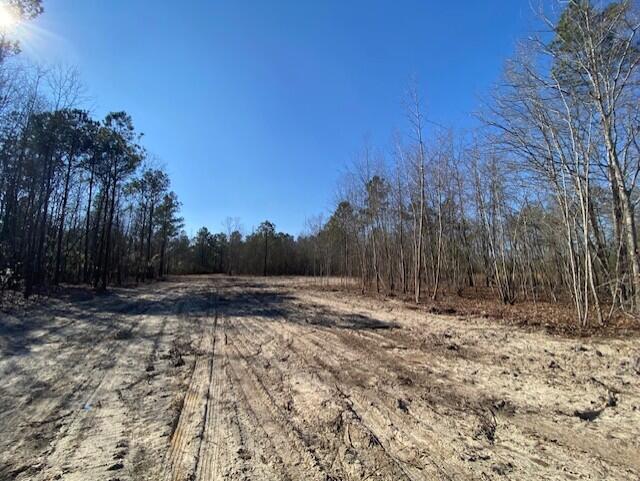 2 Hebron Road Neeses, SC 29107 - Photo 5 of 8 heb9