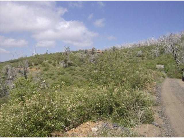 5387 Acorn Patch Road Julian, CA 92036 - Photo 4 of 8