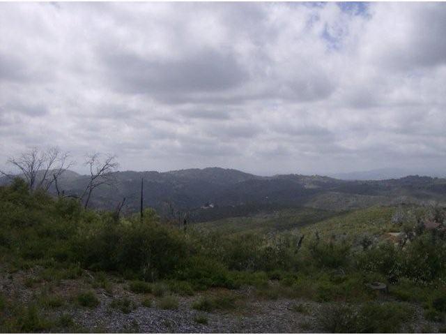 5387 Acorn Patch Road Julian, CA 92036 - Photo 7 of 8