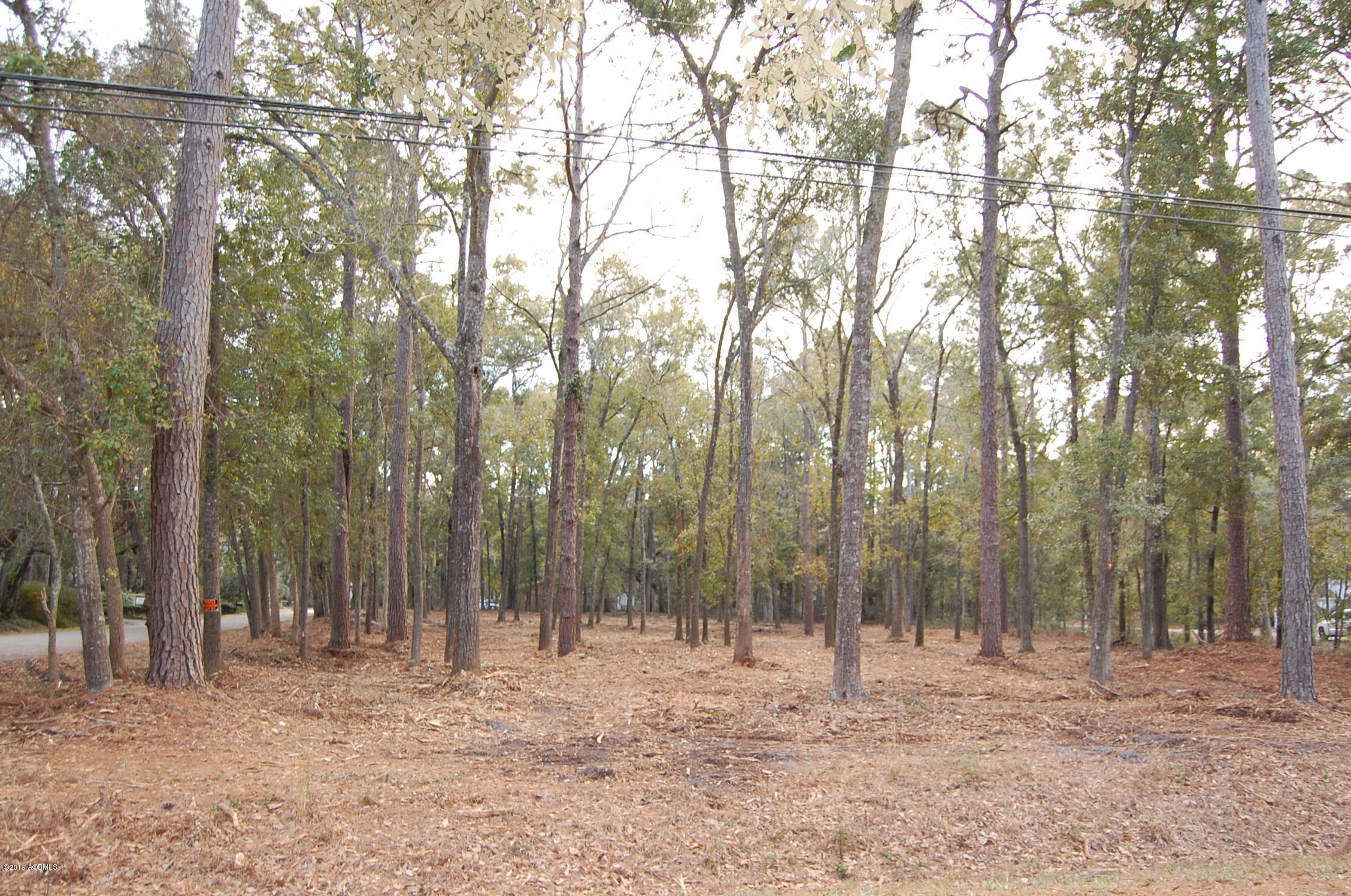 4 Hickory Road Beaufort, SC 29907 - Photo 3 of 7 DSC_0003