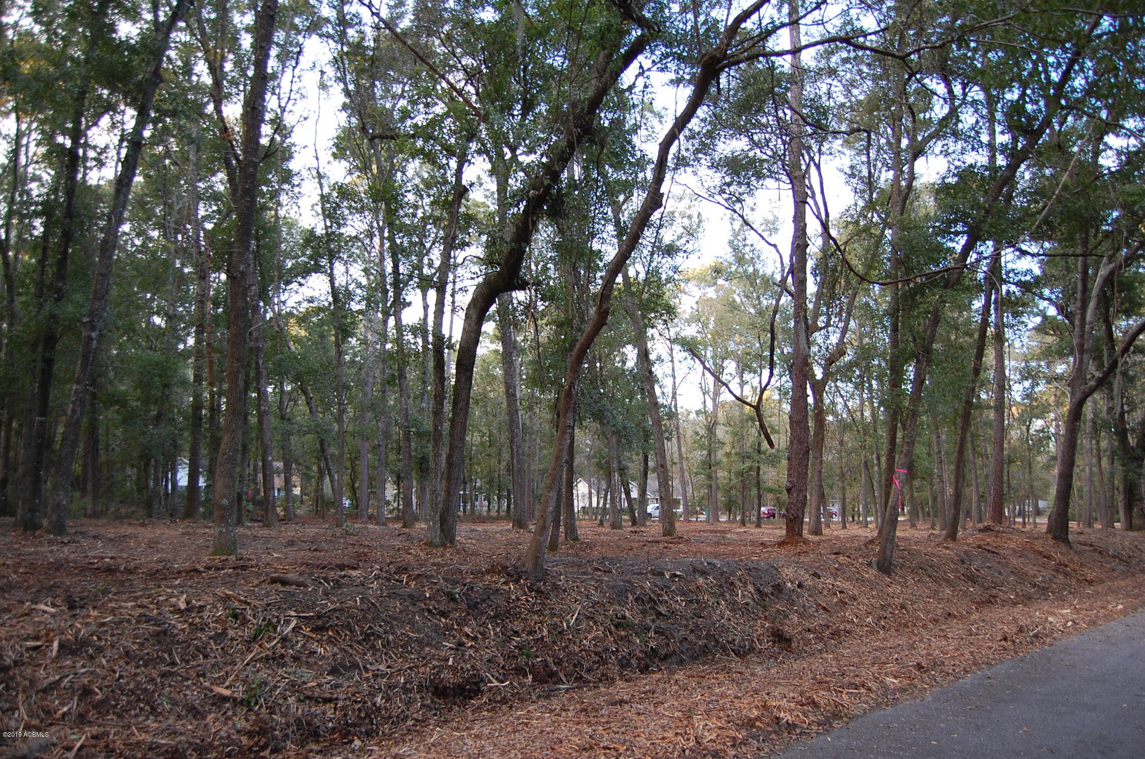 4 Hickory Road Beaufort, SC 29907 - Photo 6 of 7 DSC_0006