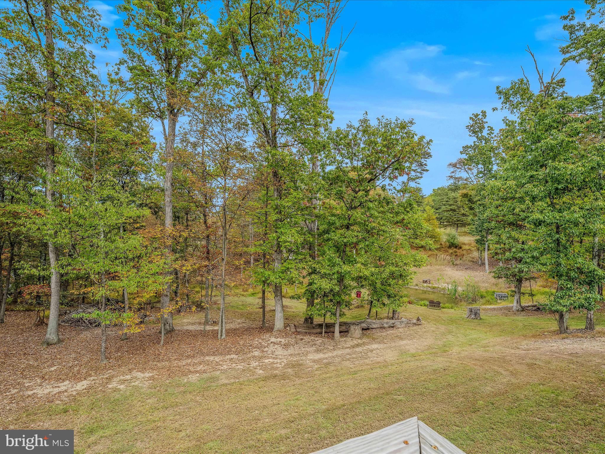 79 Whiskey Still Road Berkeley Springs, WV 25411 - Photo 26 of 59 a view of a yard with an trees