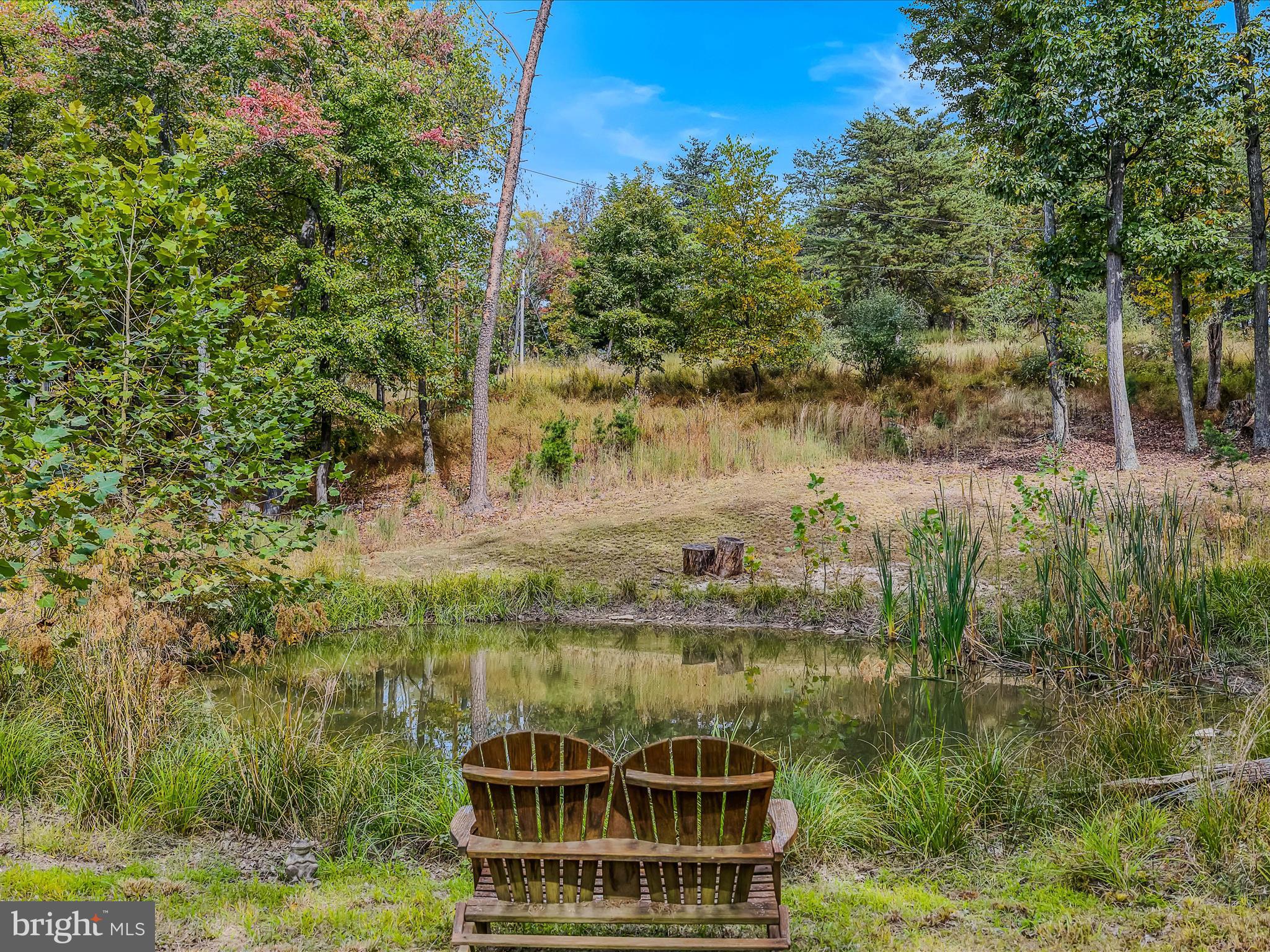 79 Whiskey Still Road Berkeley Springs, WV 25411 - Photo 44 of 59 Pond