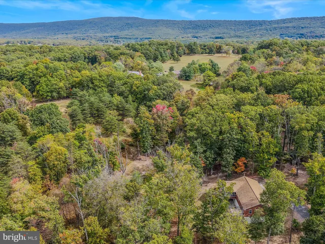 a view of a field with an ocean