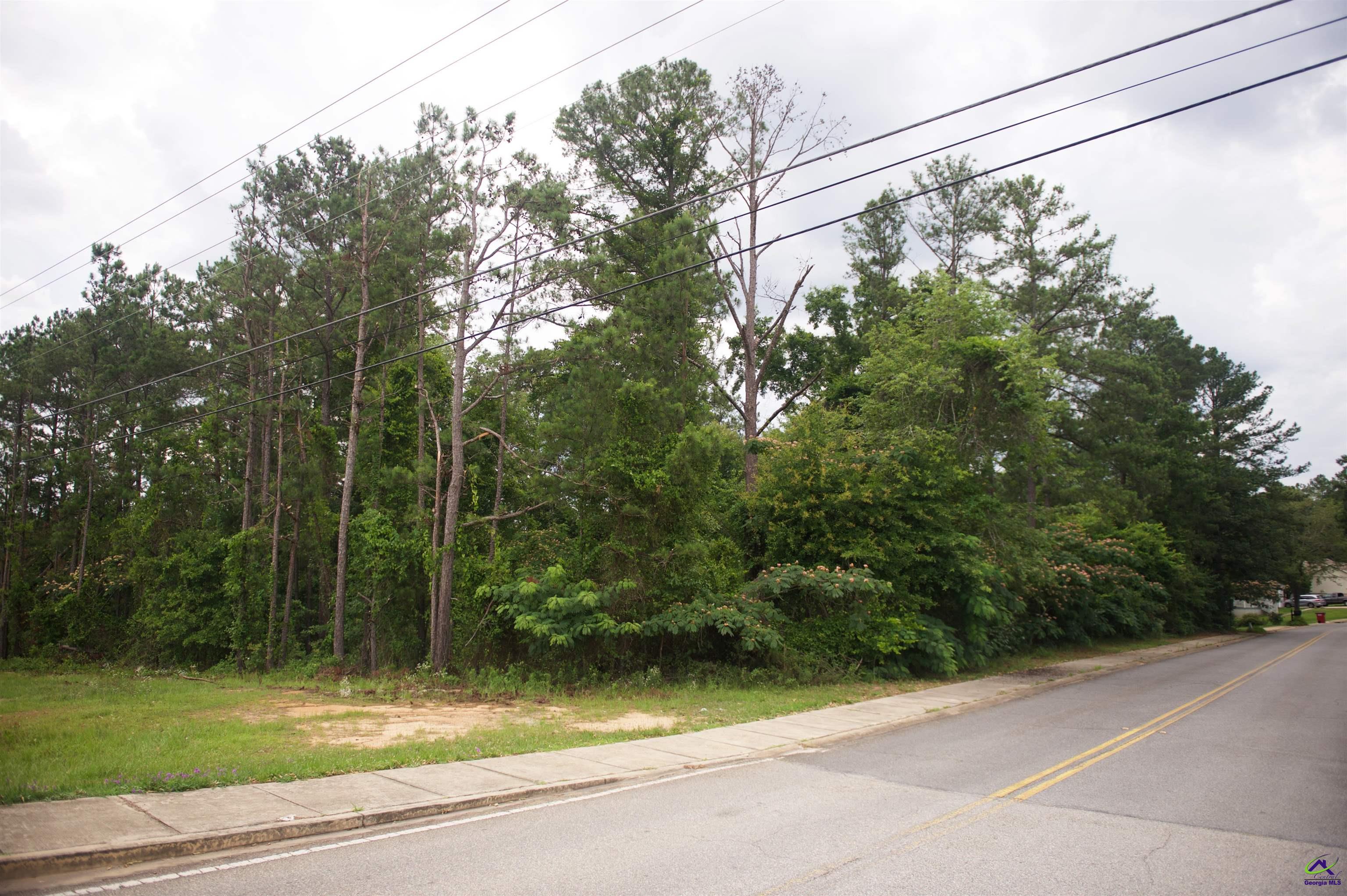 2501 Elberta Road Centerville, GA 31028 - Photo 5 of 6