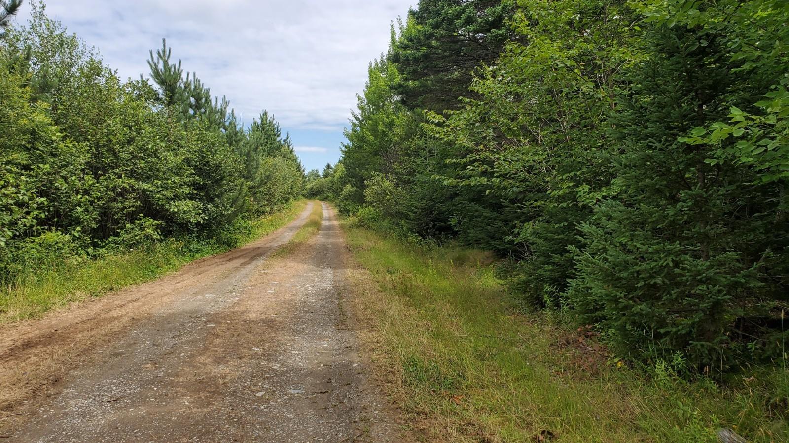 9 A Clark Road Merrill, ME 04780 - Photo 3 of 8 20210723_104930