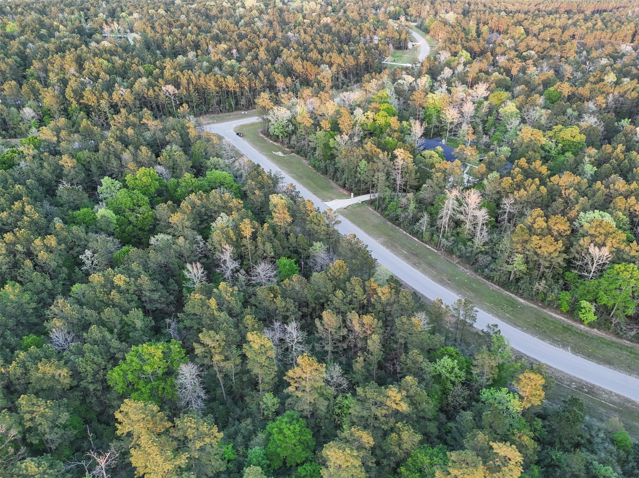 15537 Red Hawk Road Willis, TX 77378 - Photo 12 of 31 a view of a green field with lots of bushes