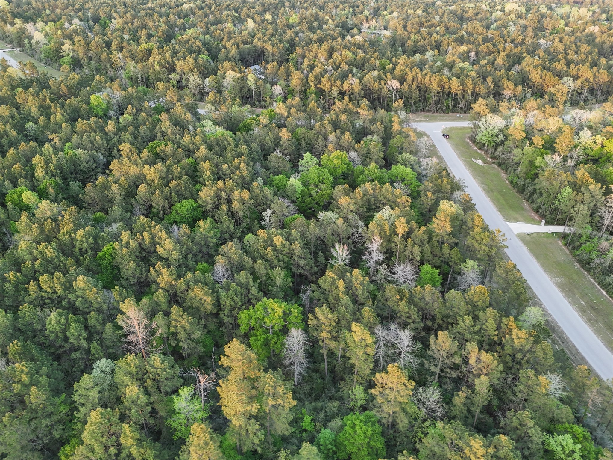 15537 Red Hawk Road Willis, TX 77378 - Photo 13 of 31 a view of a city