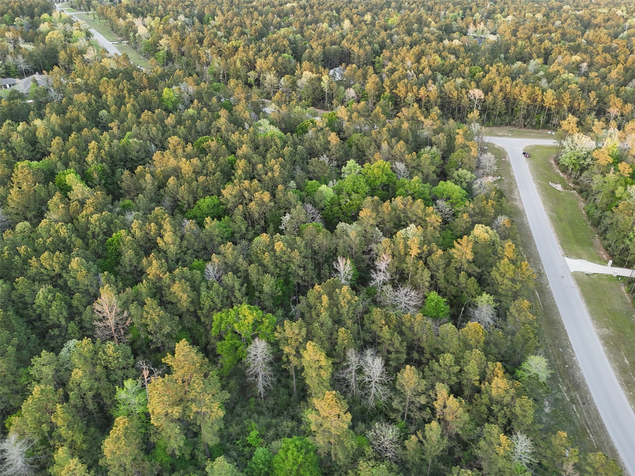 15537 Red Hawk Road Willis, TX 77378 - Photo 14 of 31 a view of a city