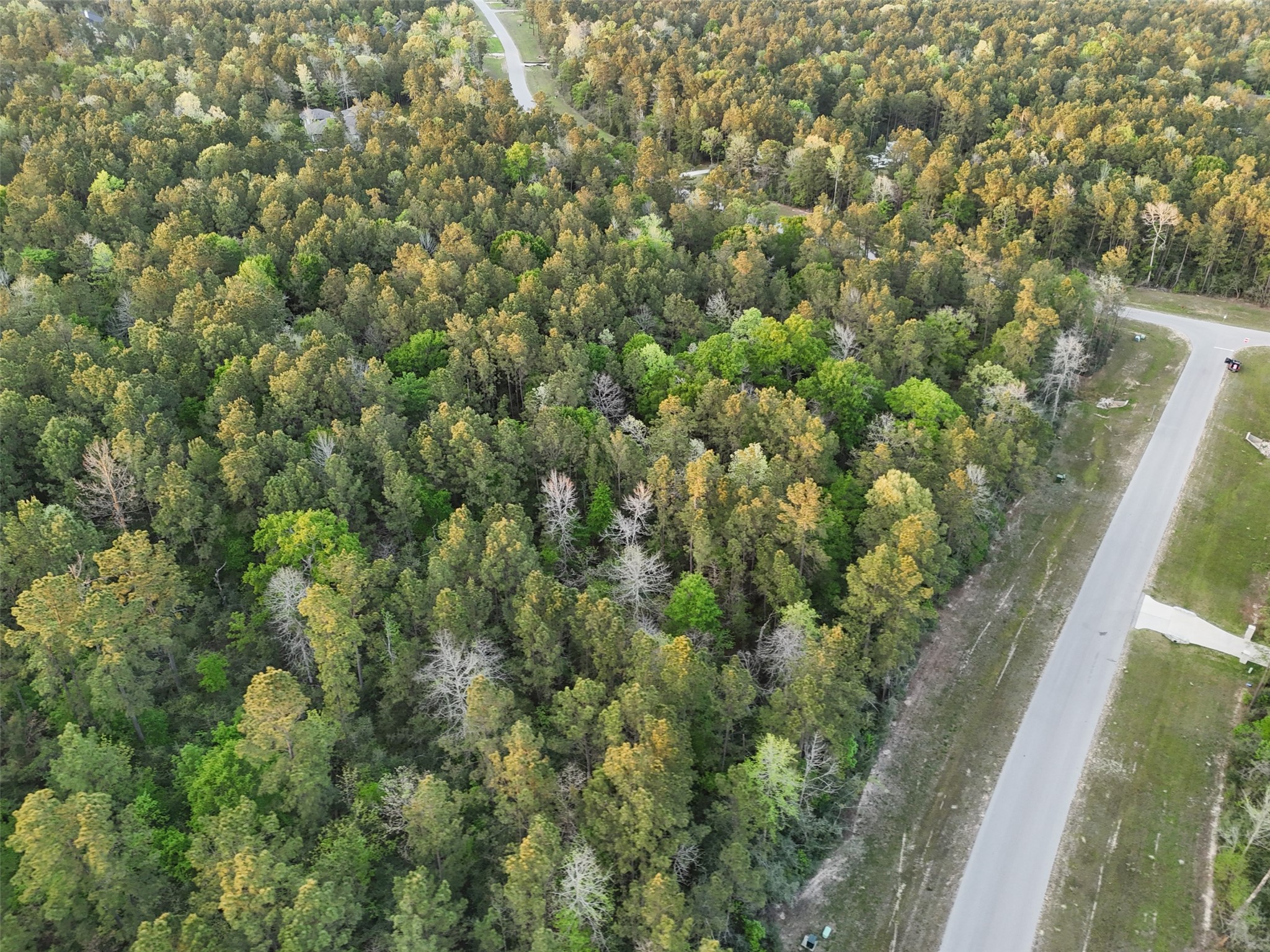 15537 Red Hawk Road Willis, TX 77378 - Photo 16 of 31 a view of a forest from a window