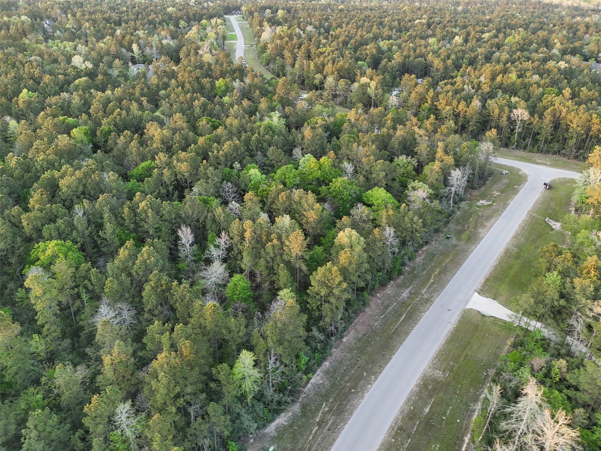 15537 Red Hawk Road Willis, TX 77378 - Photo 17 of 31 a view of a forest from a balcony