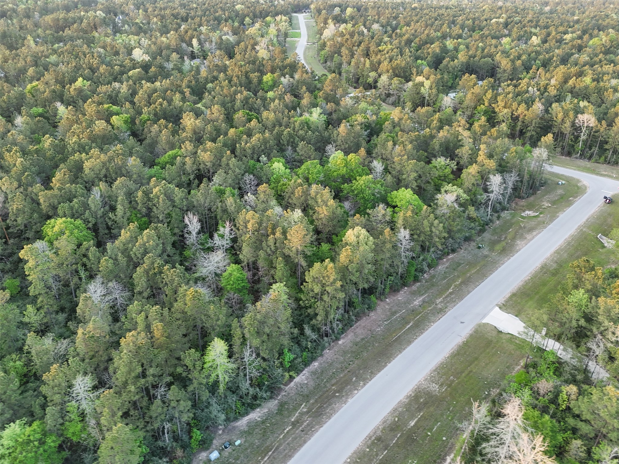 15537 Red Hawk Road Willis, TX 77378 - Photo 18 of 31 a view of a forest from a window