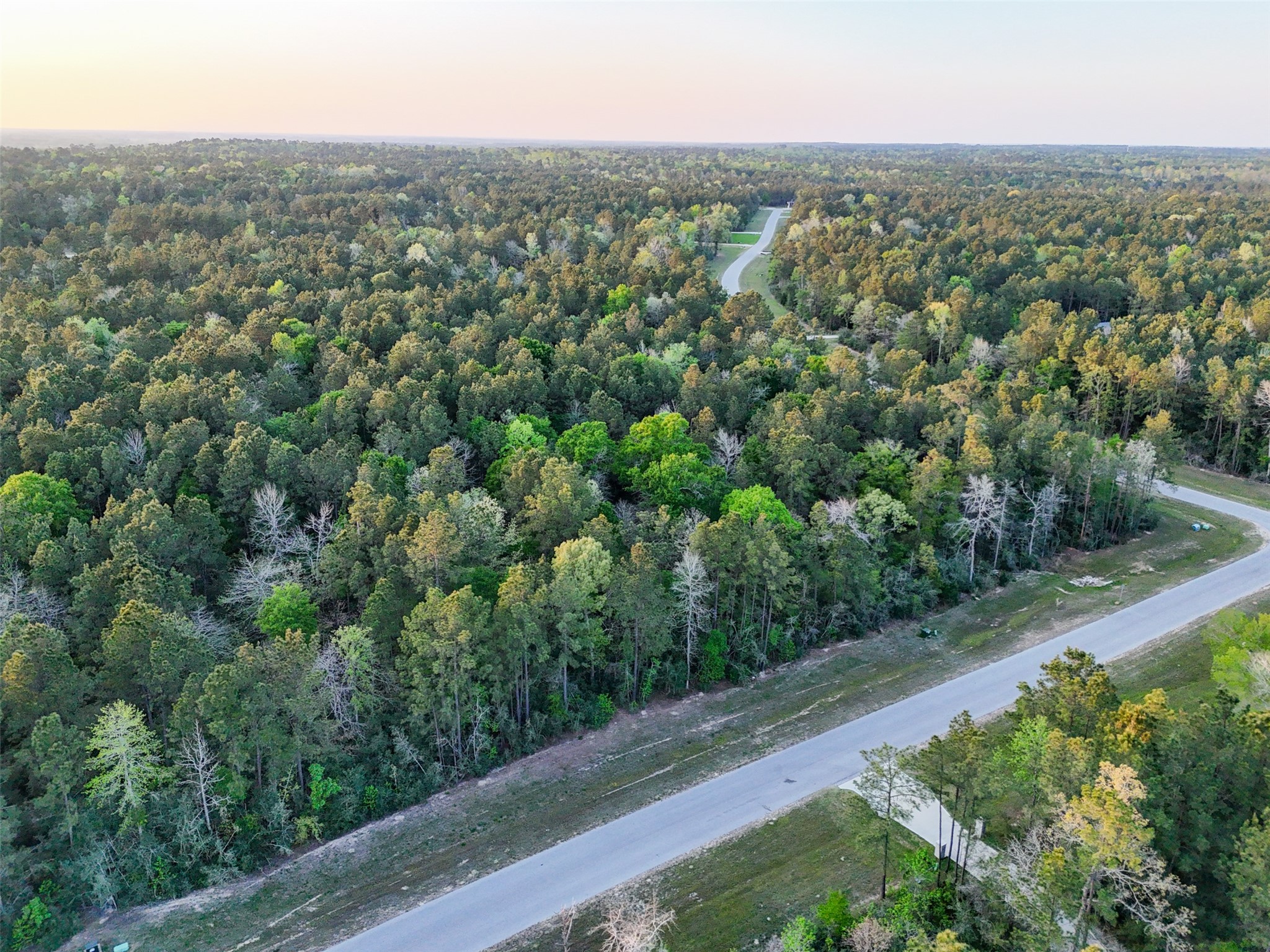 15537 Red Hawk Road Willis, TX 77378 - Photo 19 of 31 an aerial view of multiple house