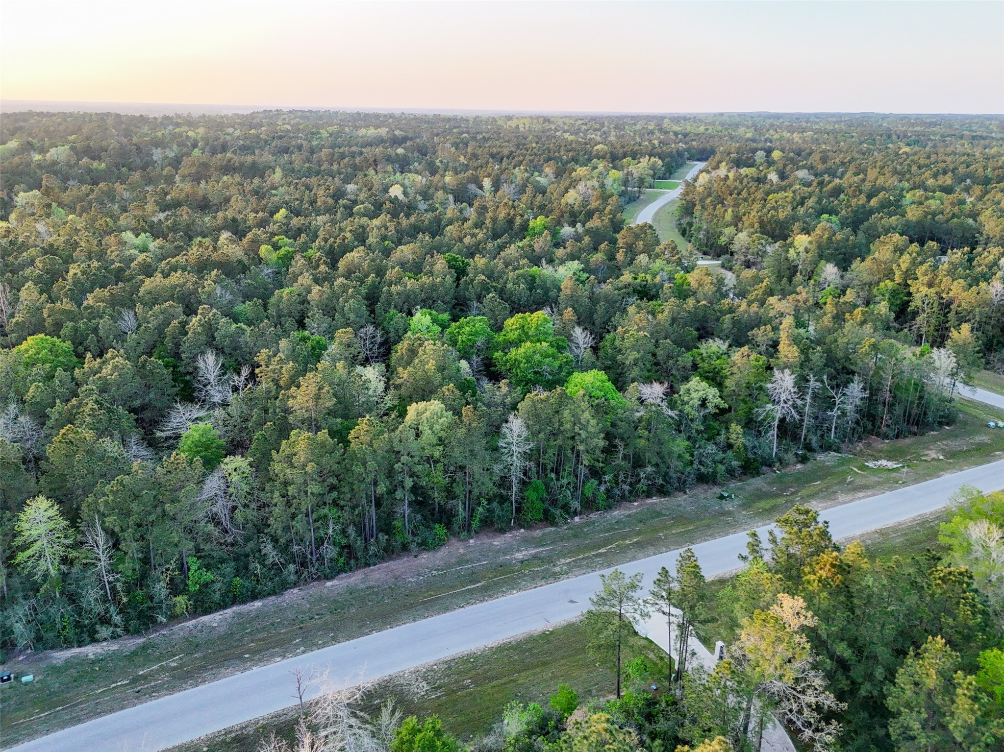 15537 Red Hawk Road Willis, TX 77378 - Photo 20 of 31 an aerial view of residential house with green space