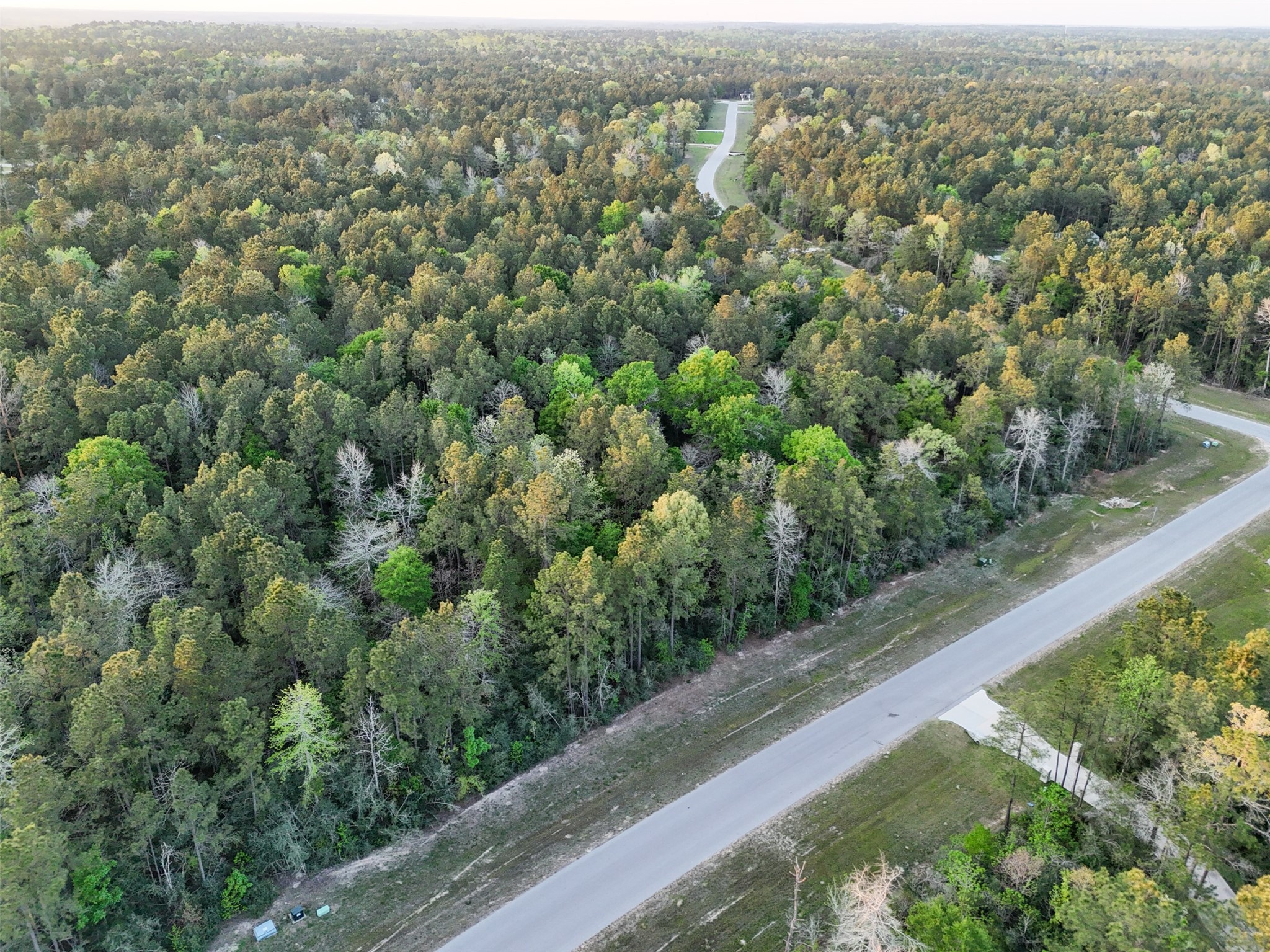 15537 Red Hawk Road Willis, TX 77378 - Photo 21 of 31 an aerial view of forest