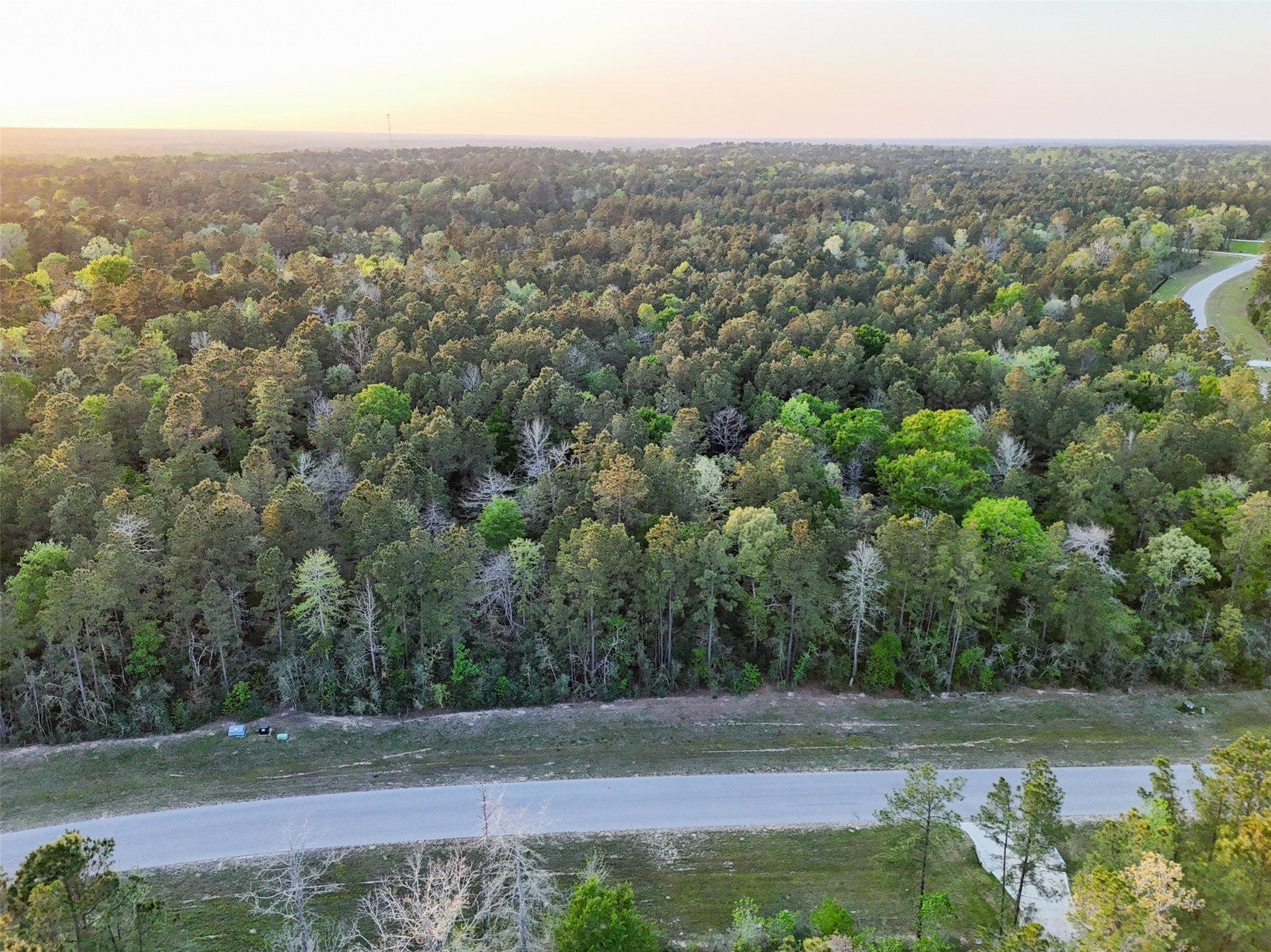 15537 Red Hawk Road Willis, TX 77378 - Photo 22 of 31 an aerial view of house with yard