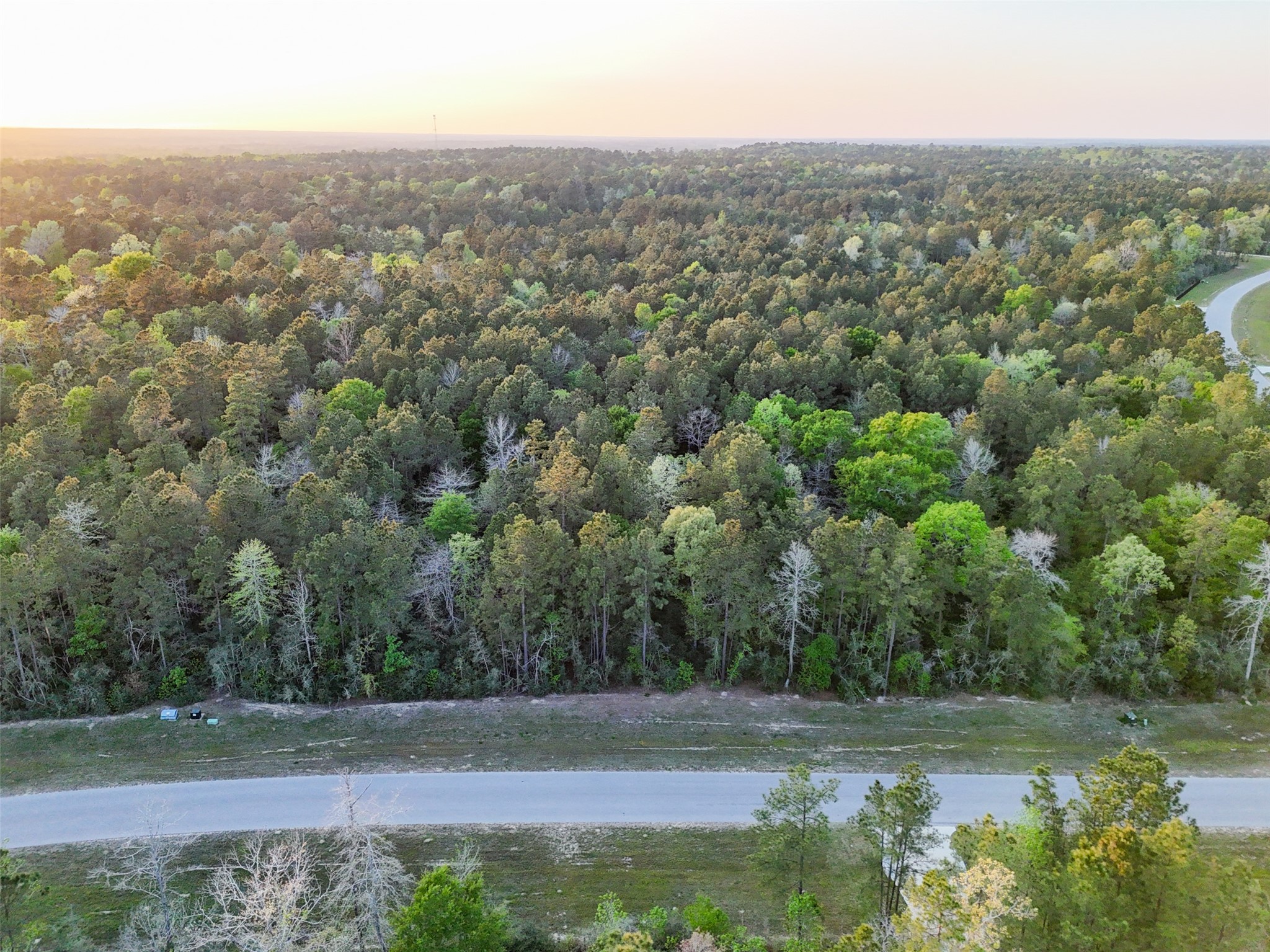 15537 Red Hawk Road Willis, TX 77378 - Photo 23 of 31 an aerial view of house with yard