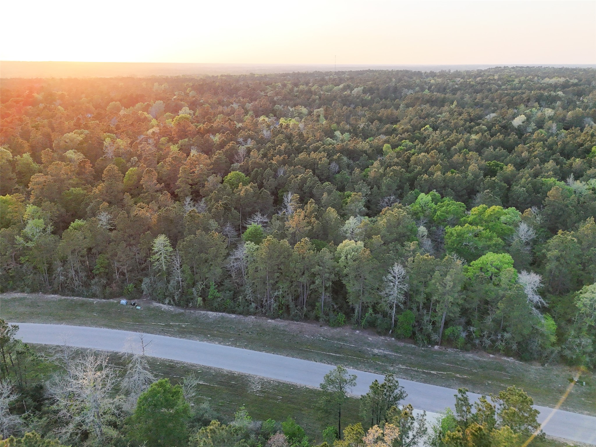 15537 Red Hawk Road Willis, TX 77378 - Photo 24 of 31 an aerial view of houses with yard