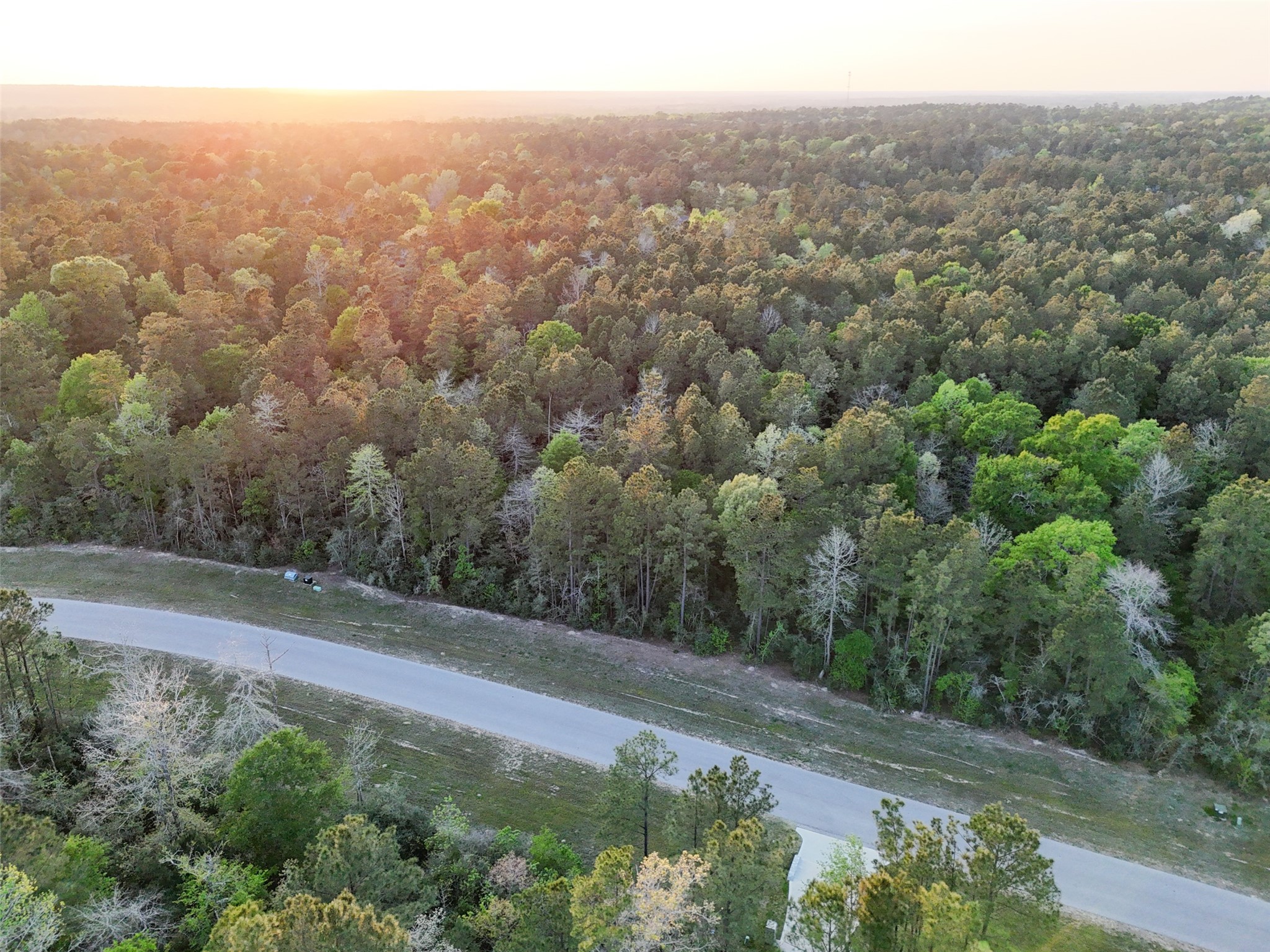 15537 Red Hawk Road Willis, TX 77378 - Photo 25 of 31 an aerial view of forest