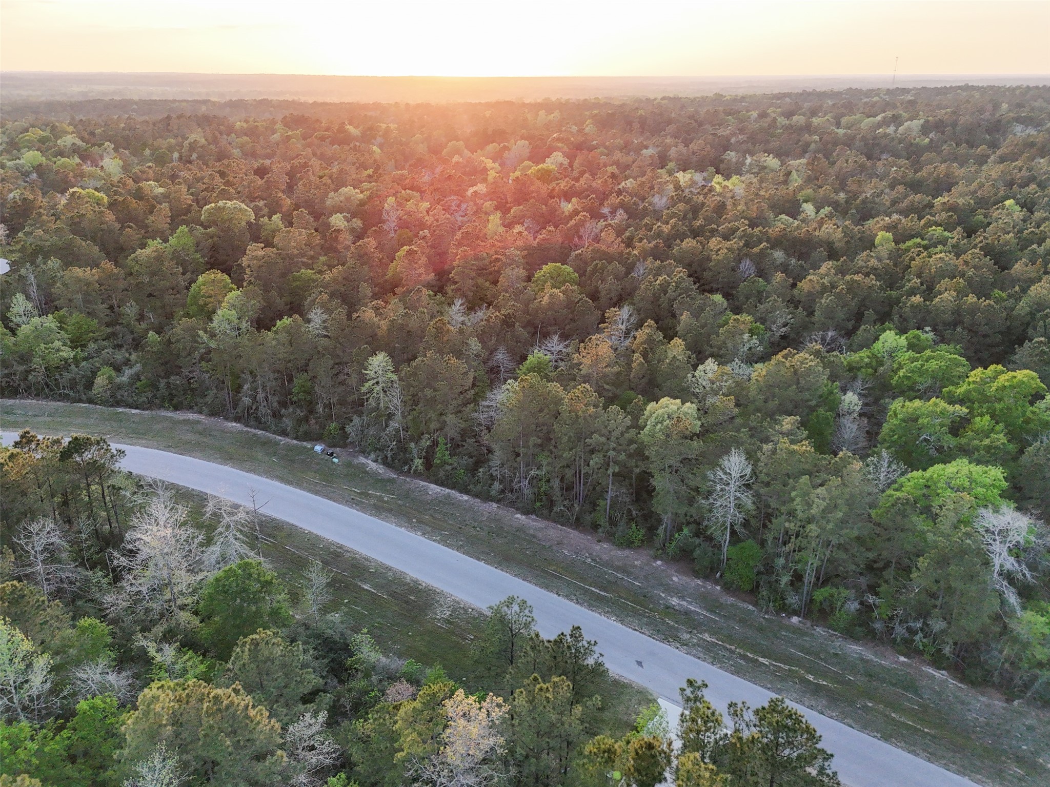 15537 Red Hawk Road Willis, TX 77378 - Photo 26 of 31 a view of a forest with a forest