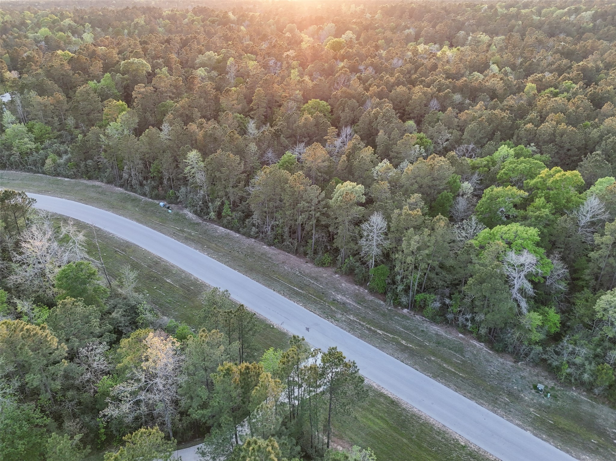15537 Red Hawk Road Willis, TX 77378 - Photo 27 of 31 a view of a forest from a window