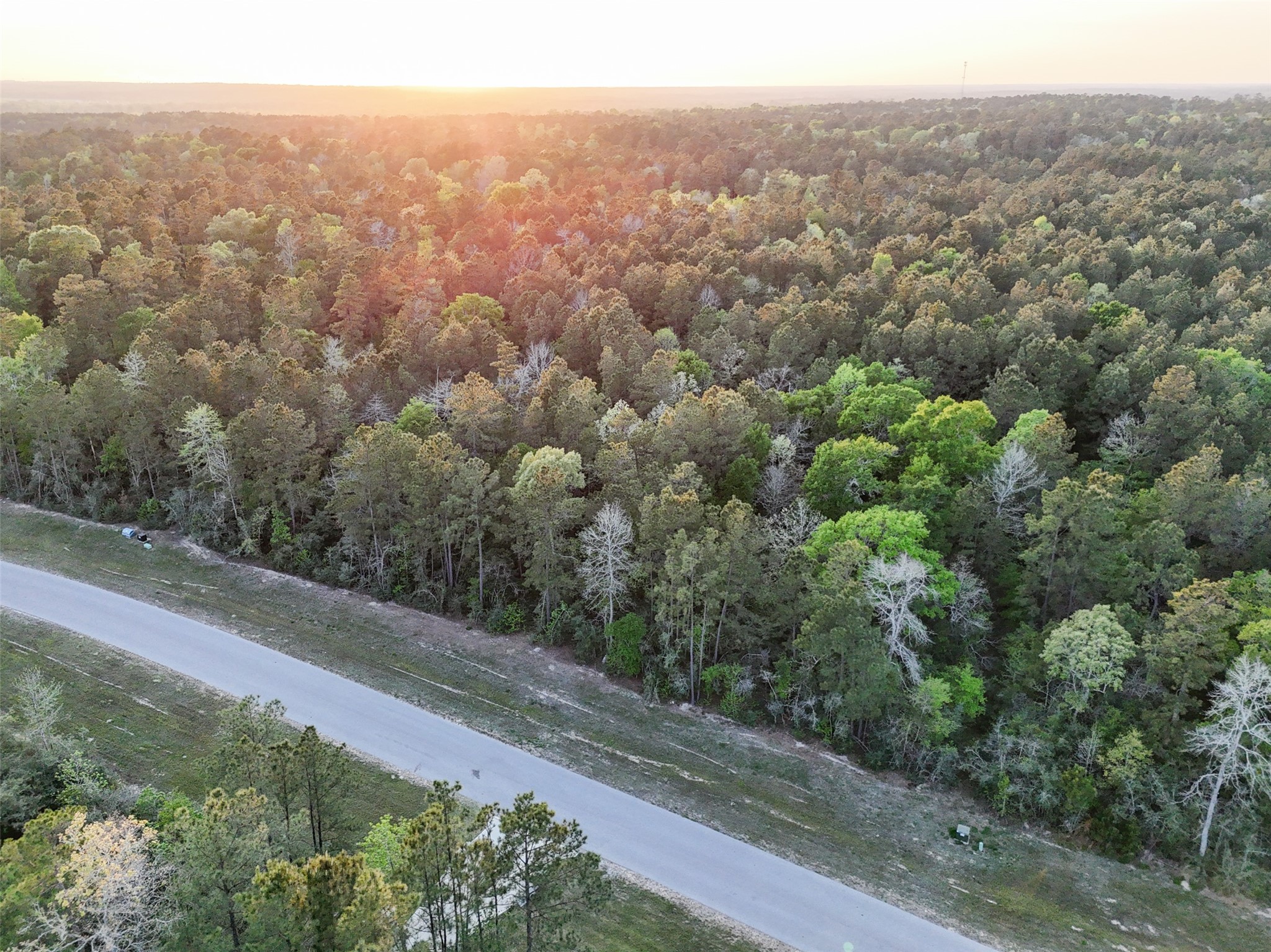 15537 Red Hawk Road Willis, TX 77378 - Photo 28 of 31 an aerial view of forest