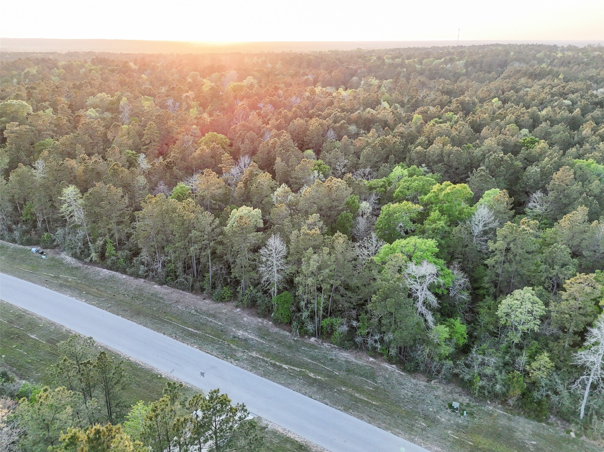 15537 Red Hawk Road Willis, TX 77378 - Photo 29 of 31