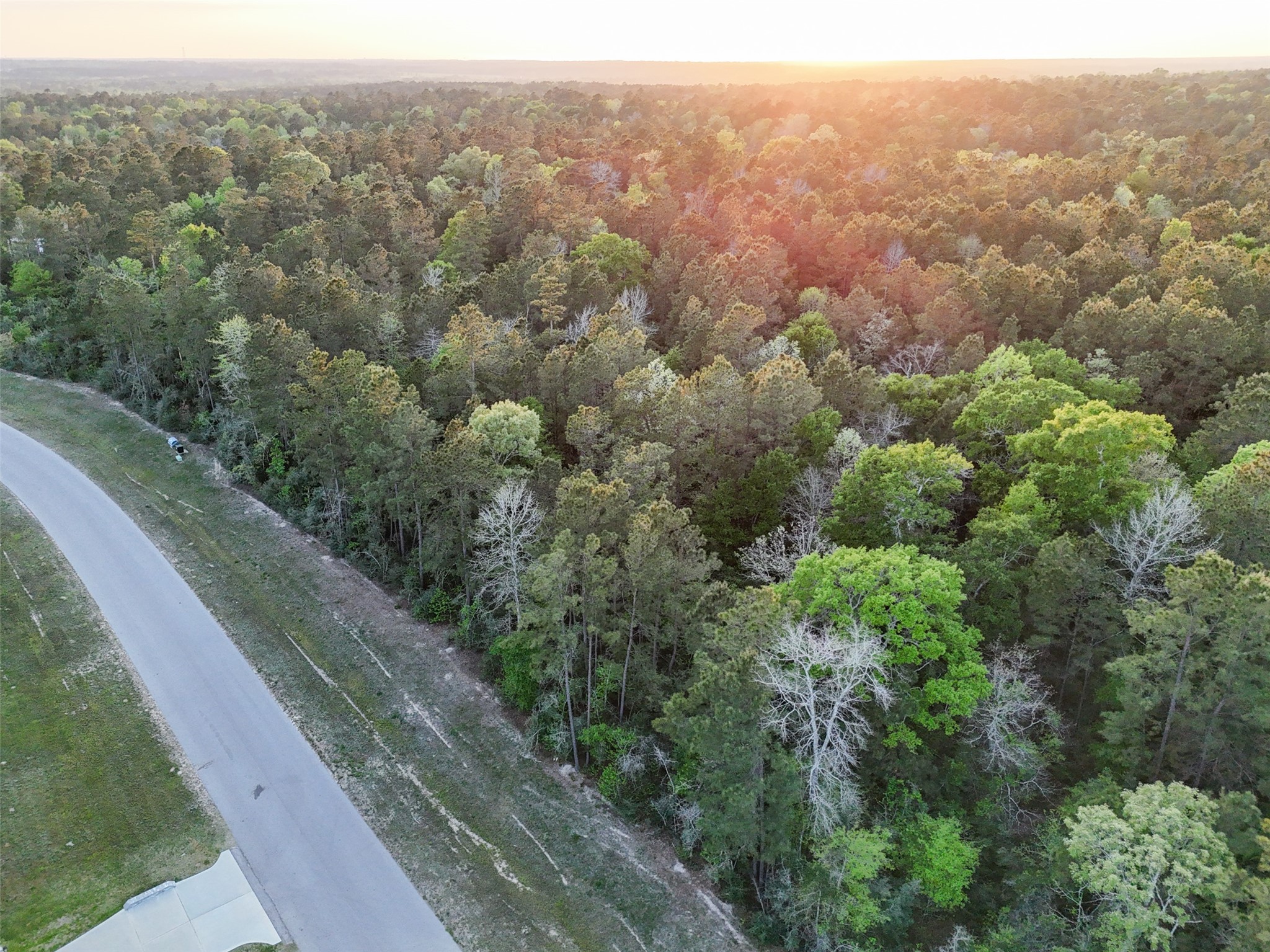 15537 Red Hawk Road Willis, TX 77378 - Photo 30 of 31 an aerial view of forest