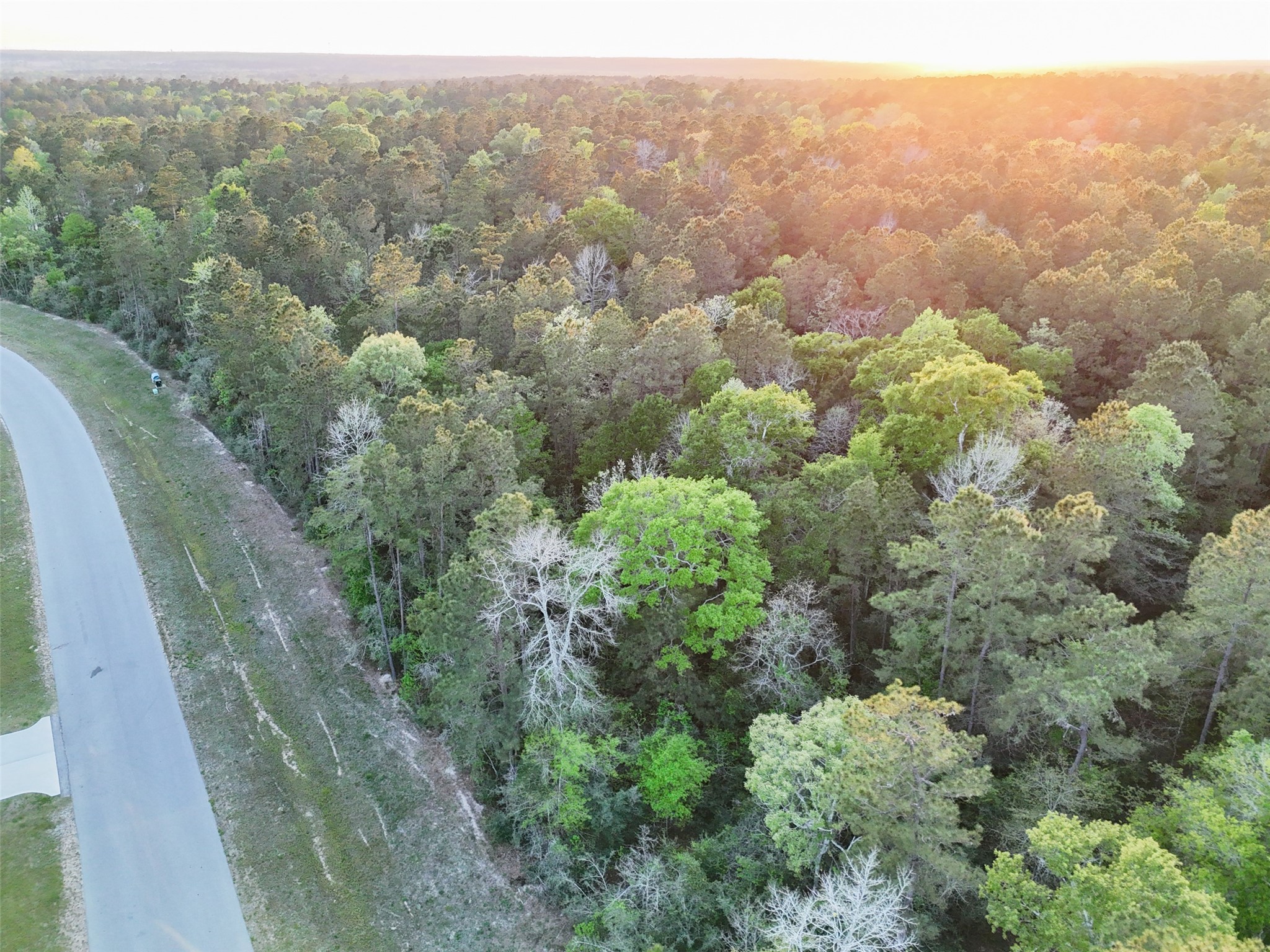 15537 Red Hawk Road Willis, TX 77378 - Photo 31 of 31 an aerial view of forest