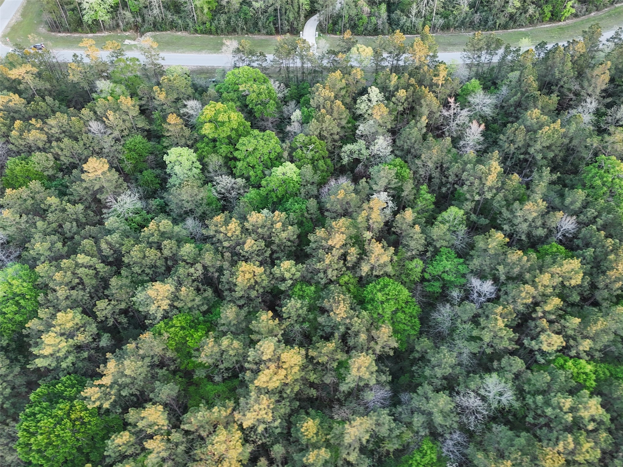 15537 Red Hawk Road Willis, TX 77378 - Photo 4 of 31 an aerial view of residential houses with outdoor space and trees