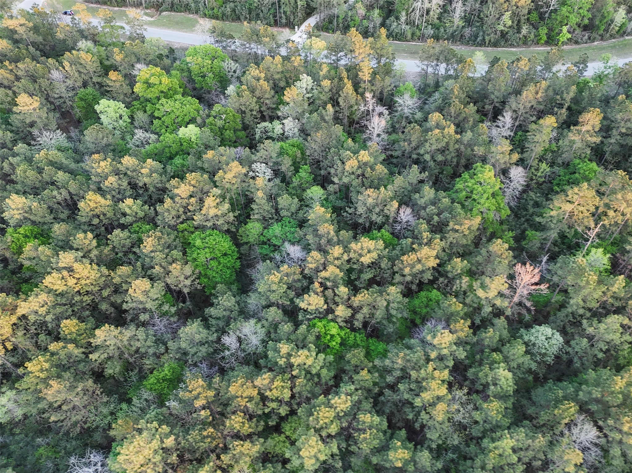 15537 Red Hawk Road Willis, TX 77378 - Photo 6 of 31 an aerial view of residential house with green space and trees all around