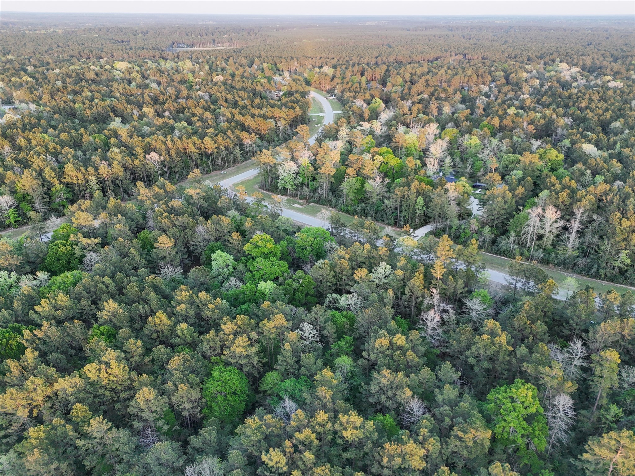 15537 Red Hawk Road Willis, TX 77378 - Photo 7 of 31 an aerial view of residential houses with outdoor space and trees