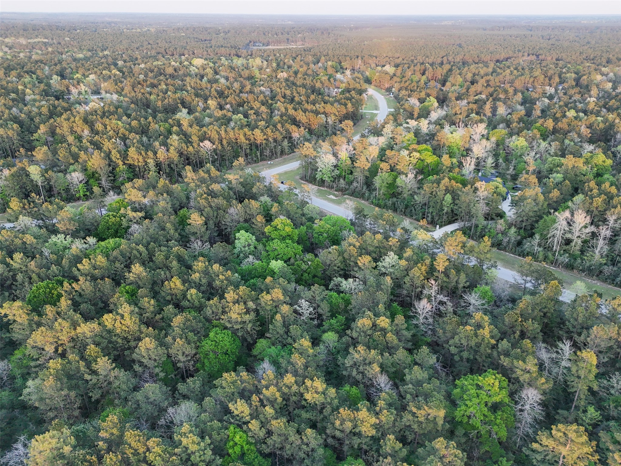 15537 Red Hawk Road Willis, TX 77378 - Photo 8 of 31 an aerial view of residential houses with city view