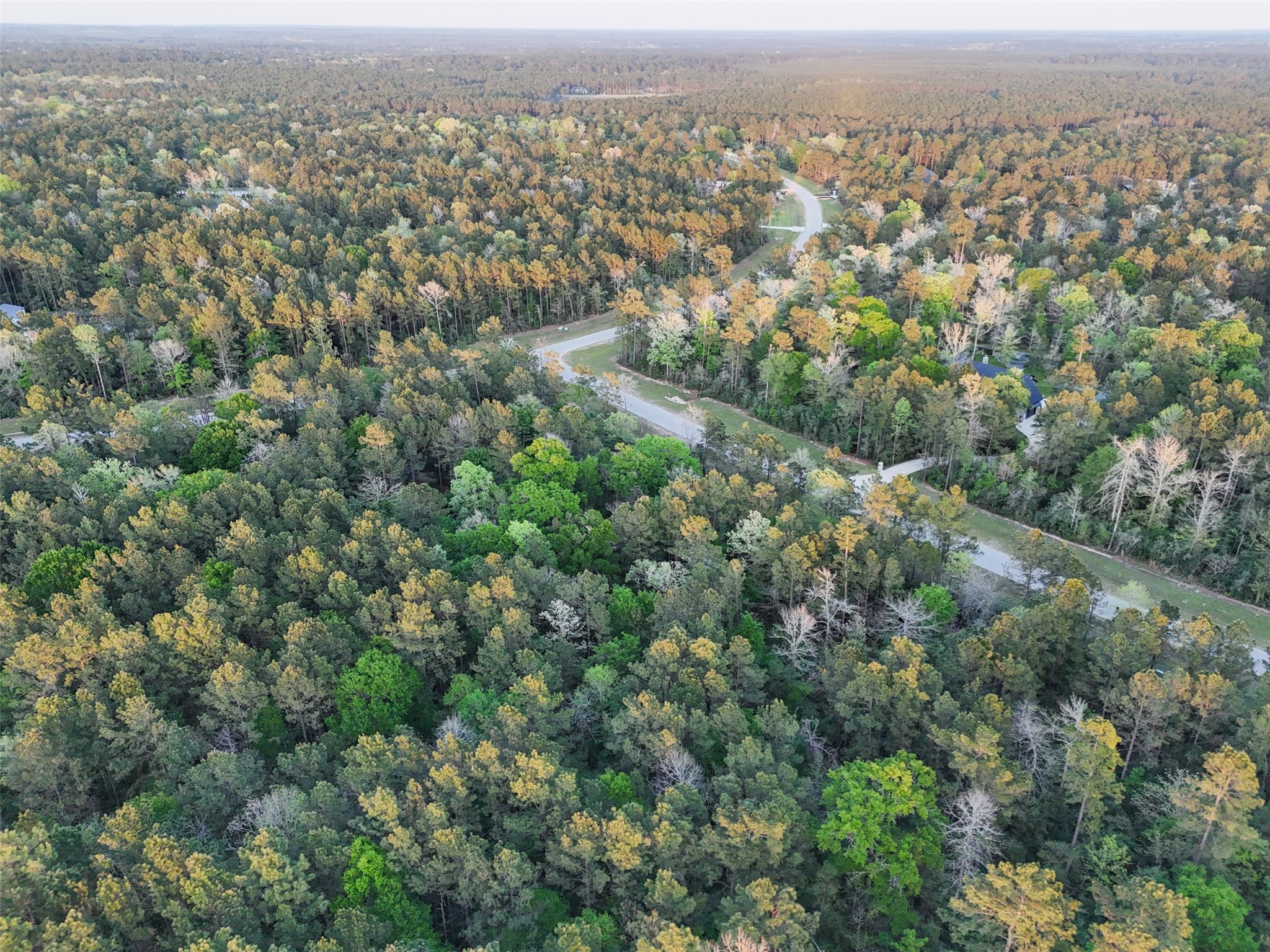 15537 Red Hawk Road Willis, TX 77378 - Photo 9 of 31 an aerial view of residential houses with outdoor space and trees