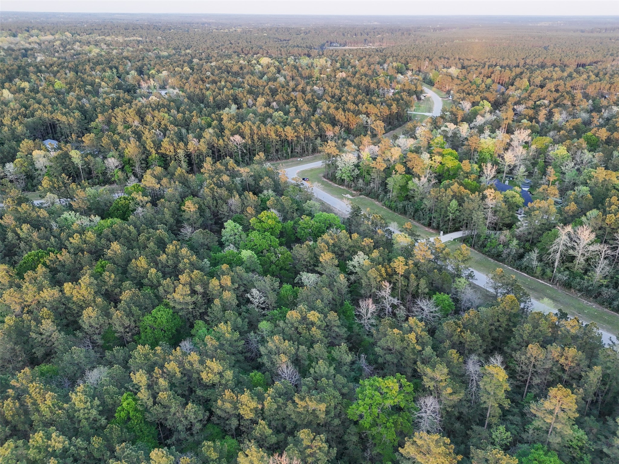 15537 Red Hawk Road Willis, TX 77378 - Photo 10 of 31 an aerial view of multiple house