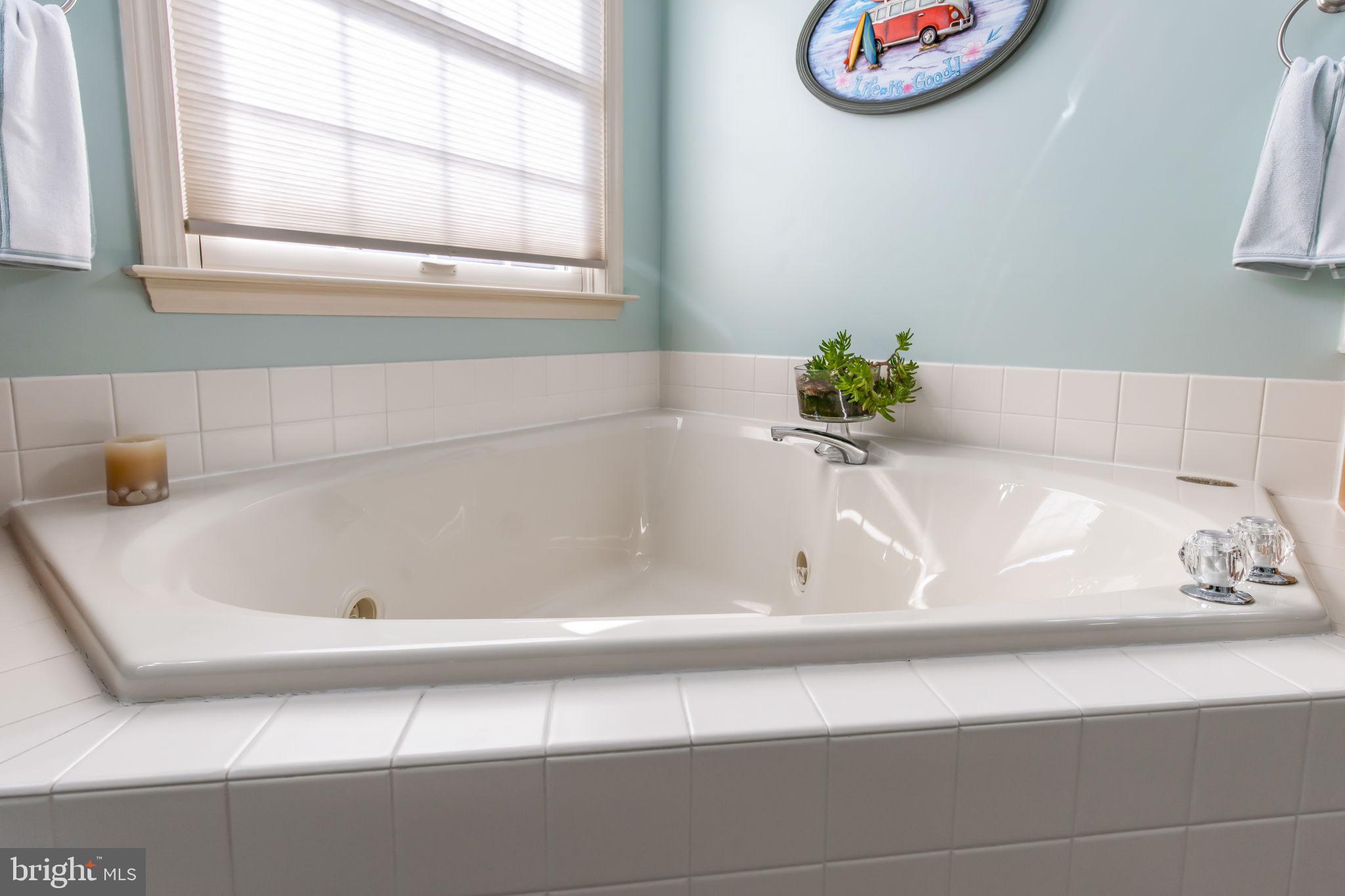 15 Alice Avenue Lititz, PA 17543 - Photo 21 of 40 Primary Bath