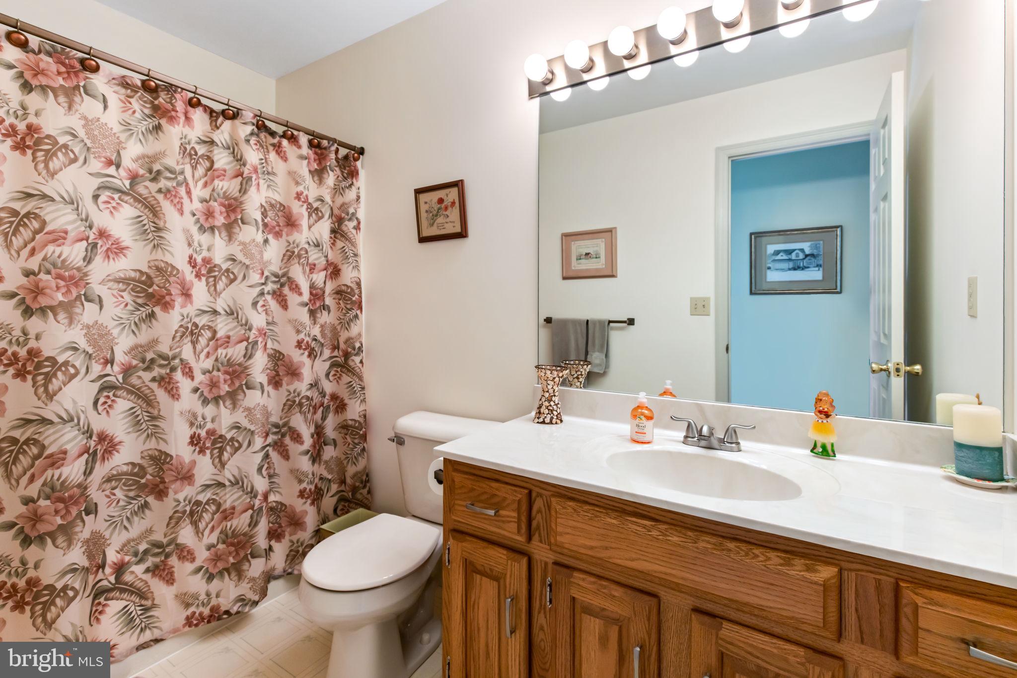 15 Alice Avenue Lititz, PA 17543 - Photo 29 of 40 Hall Bathroom