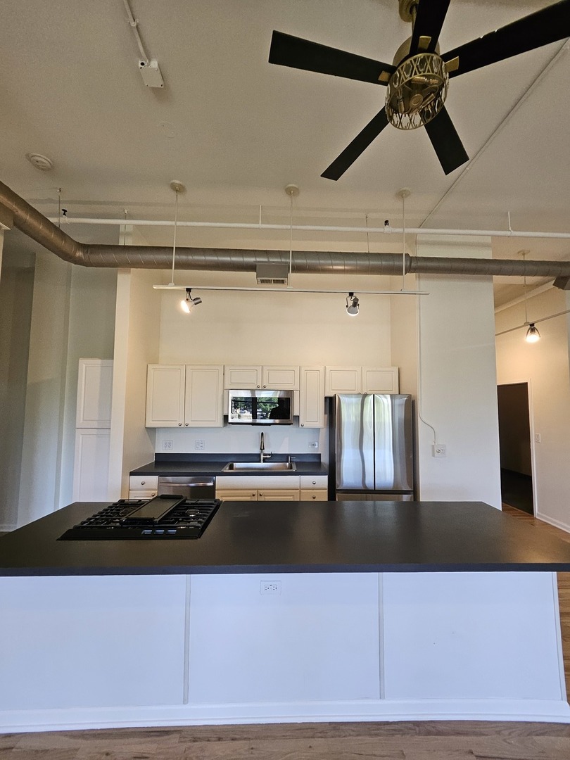 809 North Racine Avenue, Unit 203 Chicago, IL 60642 - Photo 9 of 22