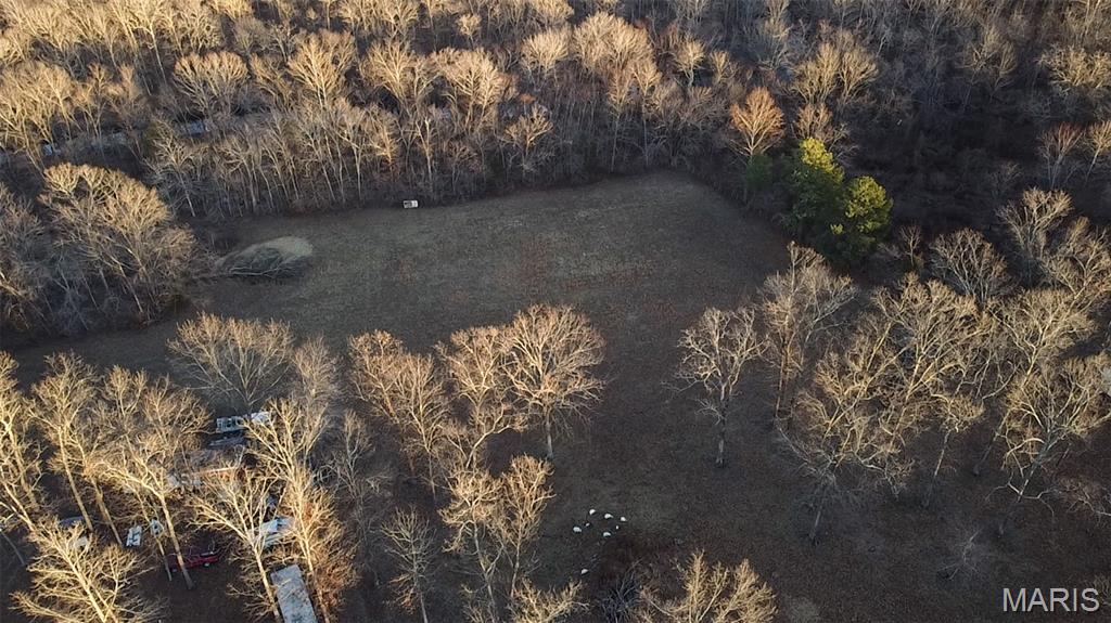 6164 Roberts Lane Farmington, MO 63640 - Photo 3 of 8