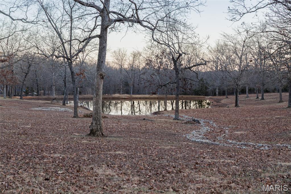 6164 Roberts Lane Farmington, MO 63640 - Photo 7 of 8