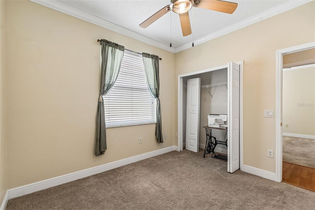 20904 Tangor Road Land O Lakes, FL 34637 - Photo 18 of 86